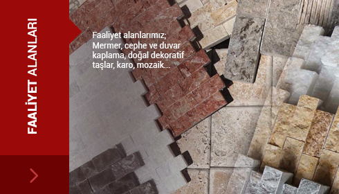 Faaliyet Alanlari